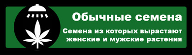 Обычные семена конопли - Нефеминизированные сорта марихуаны Изображение вкладки значка